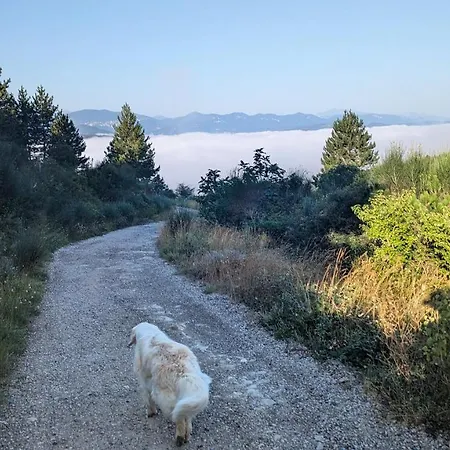 Grande Maison Carpediem, Le Calme A La Campagne Cassaignes