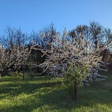 Prázdninový dům Grande Maison Carpediem, Le Calme A La Campagne *