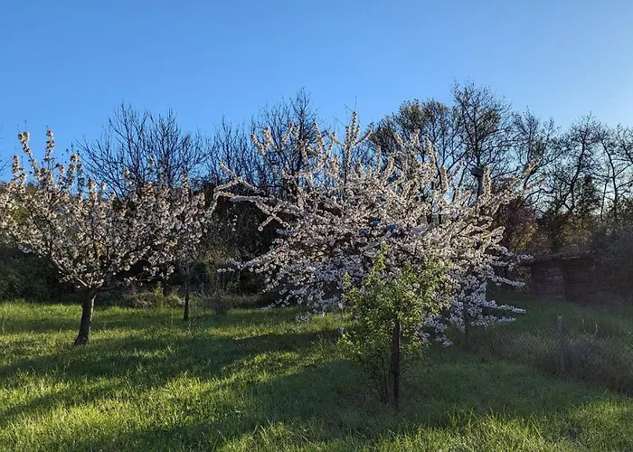 Hébergement de vacances Grande Maison Carpediem, Le Calme à La Campagne *
